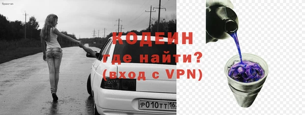 шишки Магас