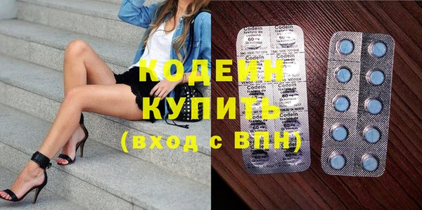 шишки Магас