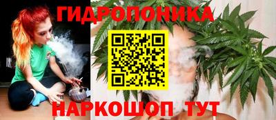 гашик Ликино-Дулёво