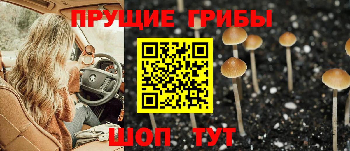 Псилоцибиновые грибы мухоморы Саратов