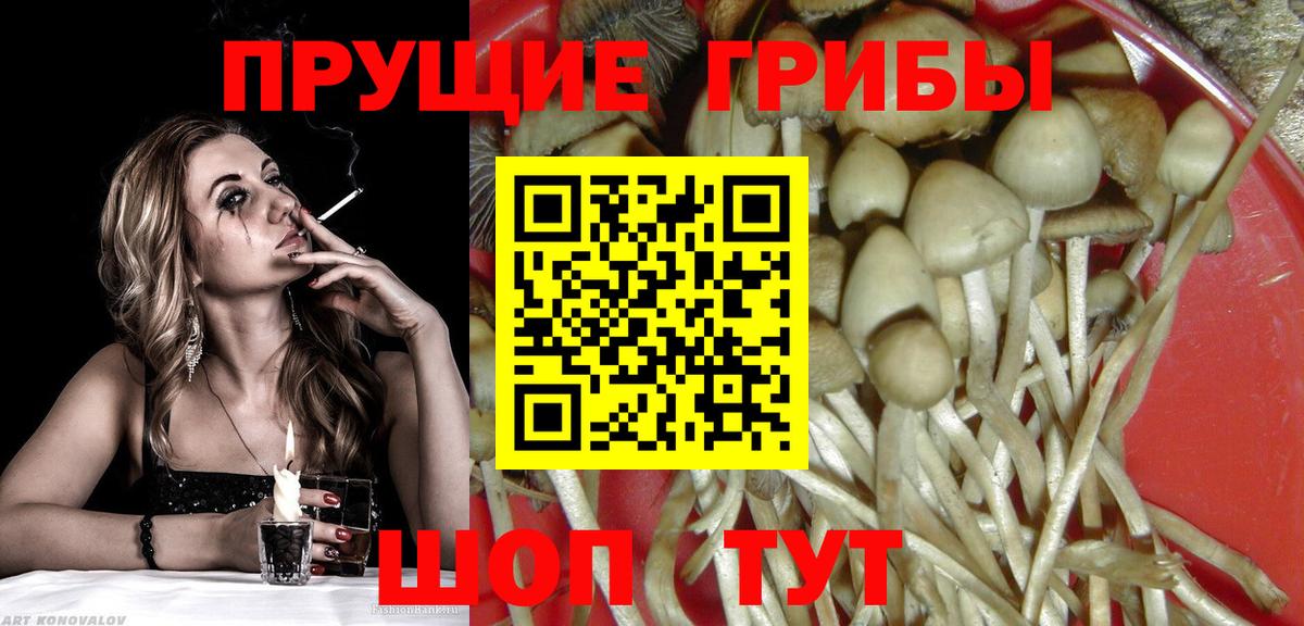 Псилоцибиновые грибы прущие грибы  Вход с VPN  Саратов 
